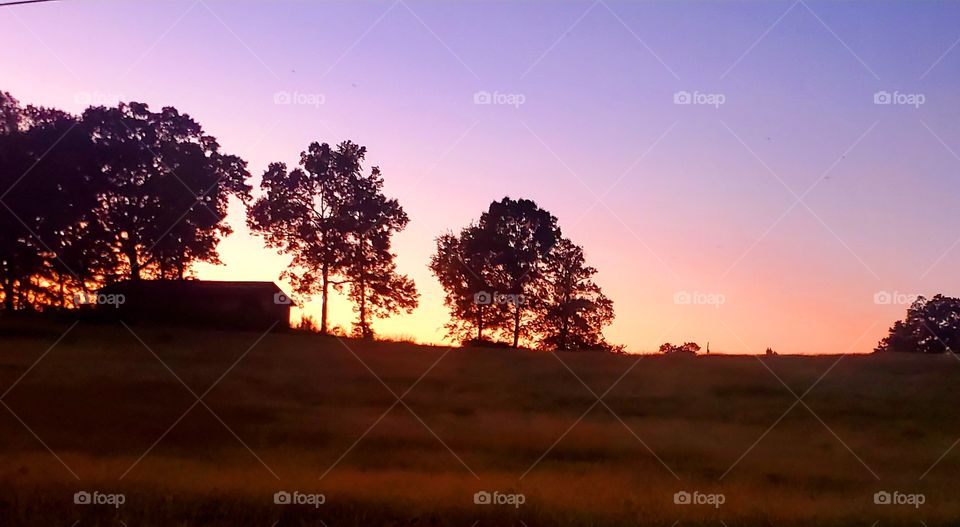 looking at the sunset with barn and trees