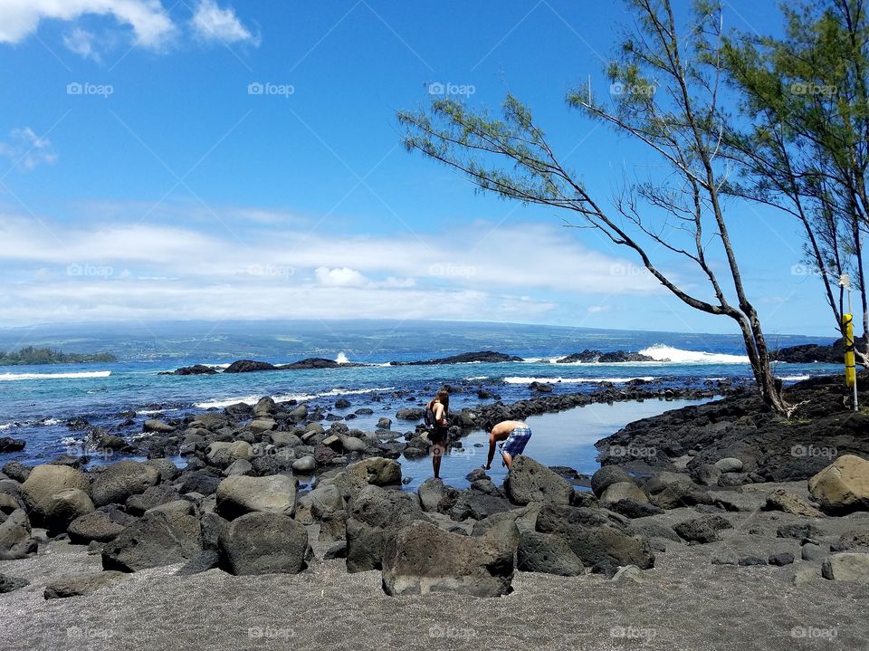 Exploring tide pools off the coast of The Big Island of Hawai'i,  Hawaii