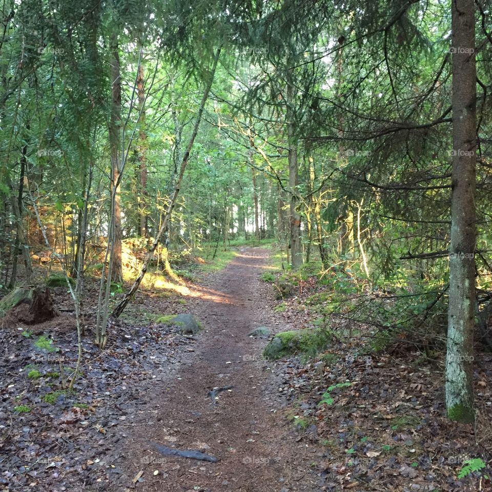 Möreleden in Kalmar Sweden 