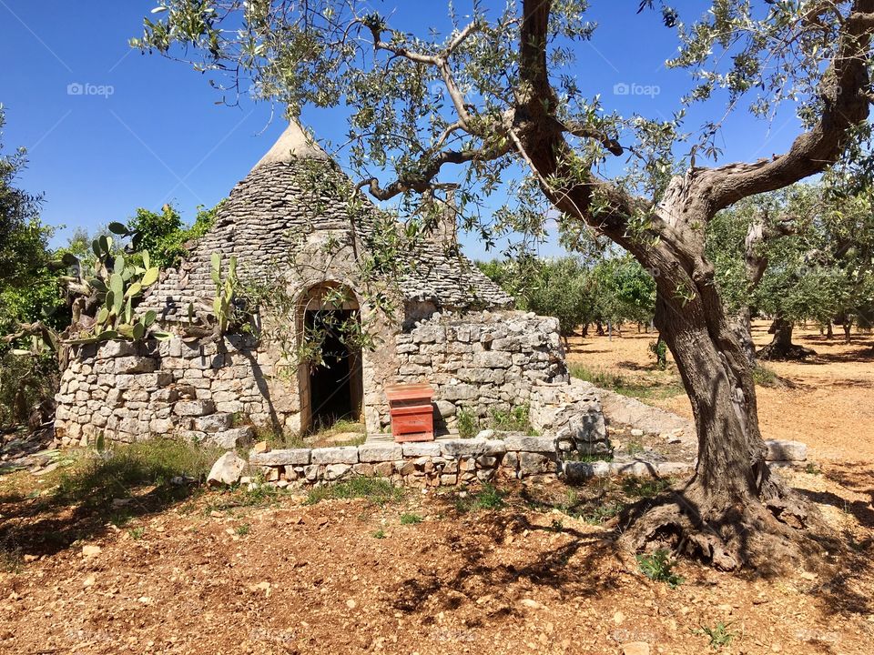 Trulli 