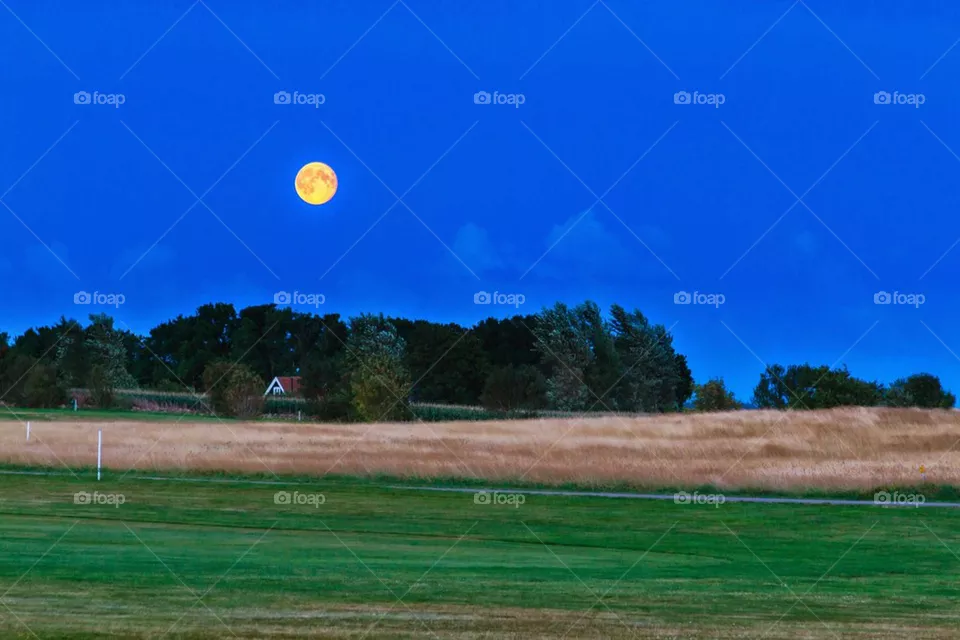 Full moon