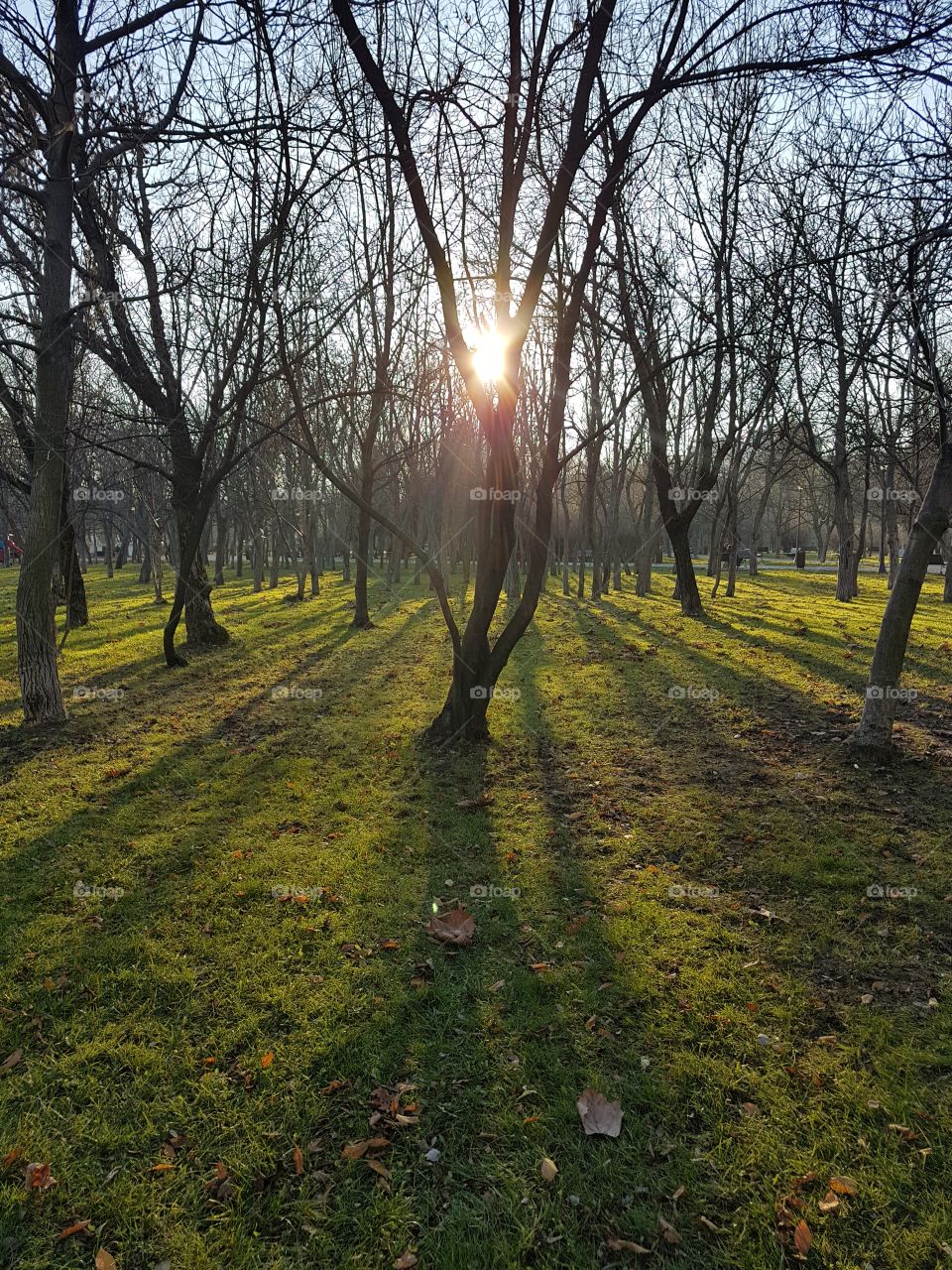 A walk in the Park in Bucharest.
