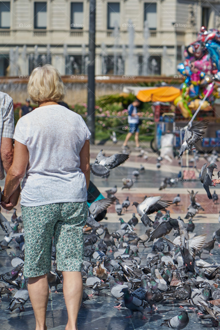 Elderly Woman among Pigeons