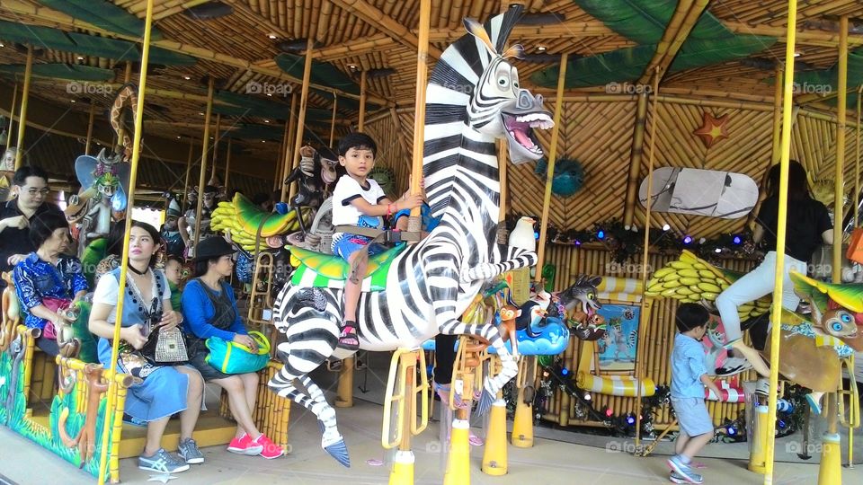 Ridit Zebra Ride