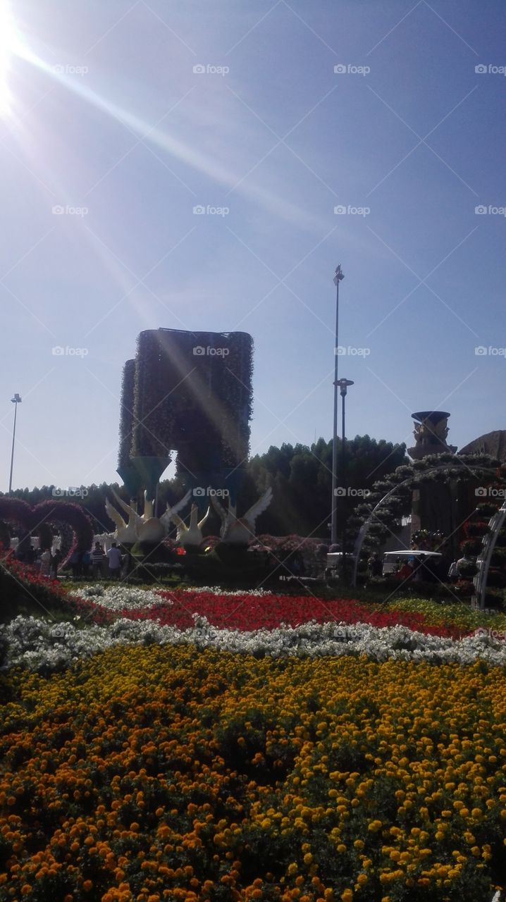 Dubai miracle  garden