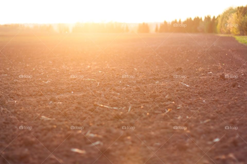 Spring field