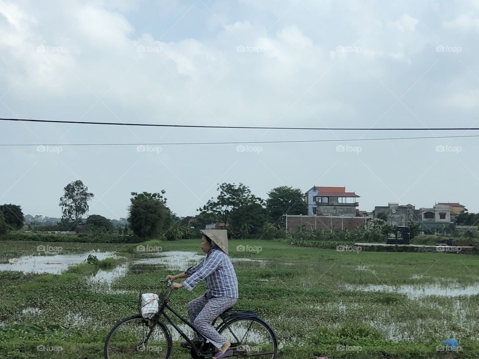 Vietnamese country scene