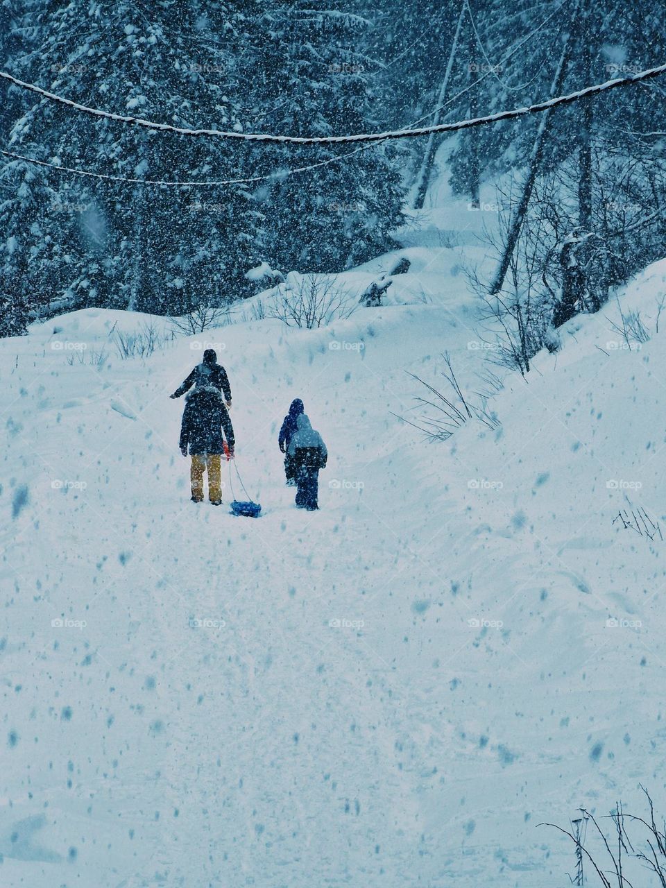 sledding