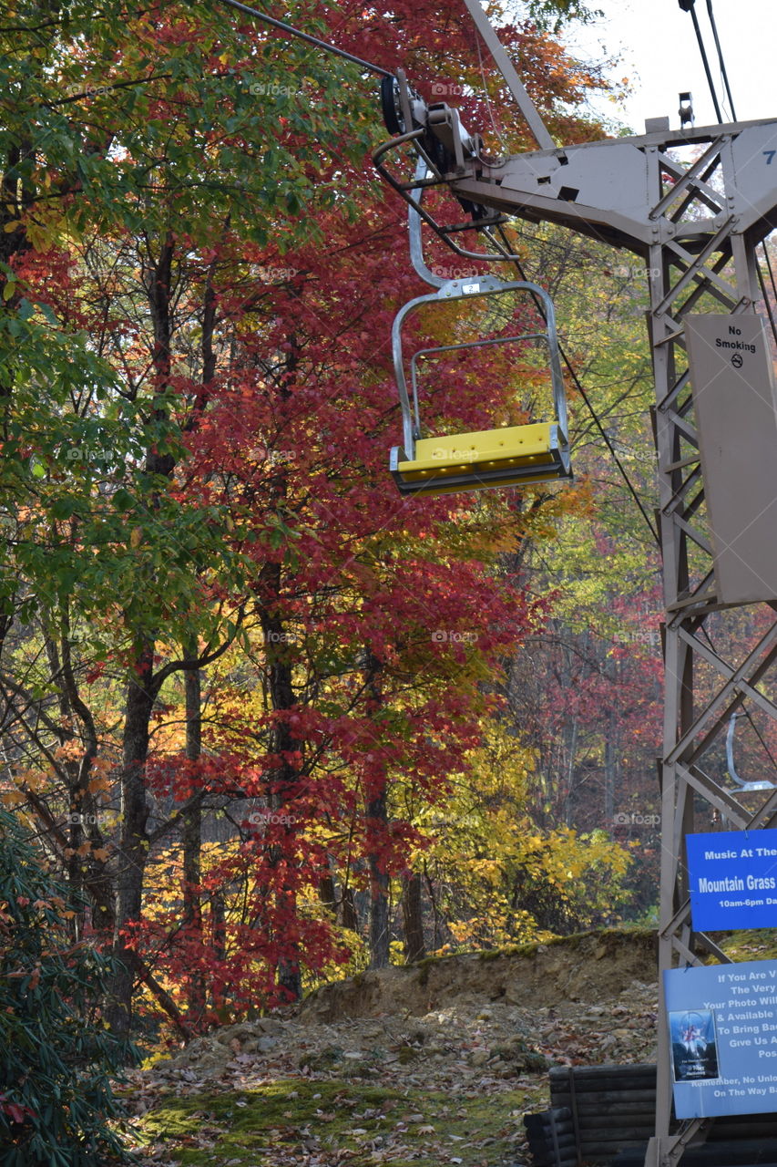 November in Gatlinburg