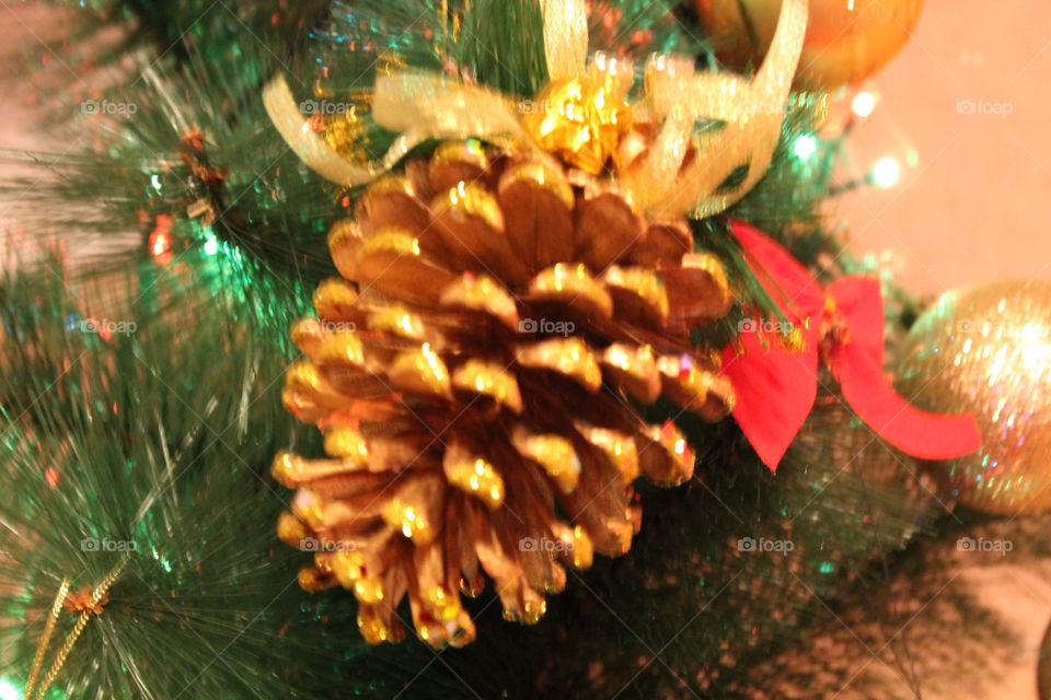 Christmas, Winter, Celebration, Pine, Decoration