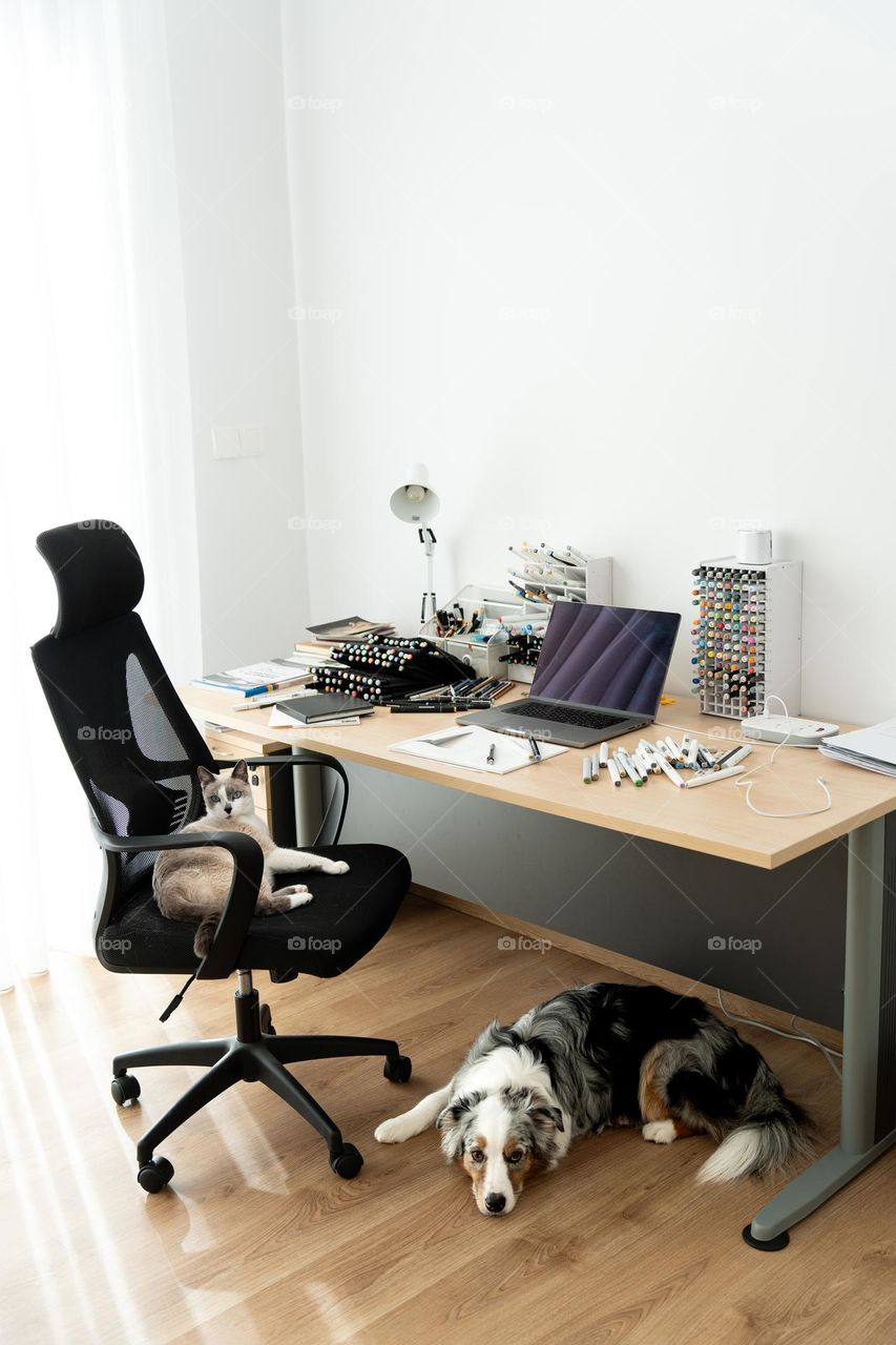 Cozy workplace for an artist or designer. Pets laying near the office table. Domestic life. Remote work