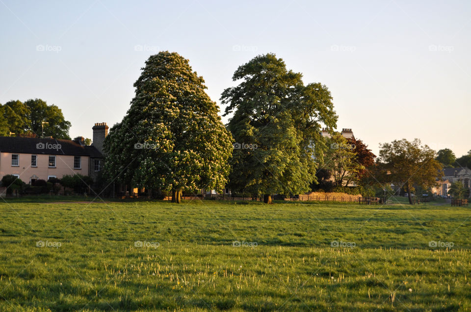 Amazing view on fields. Cambridge 