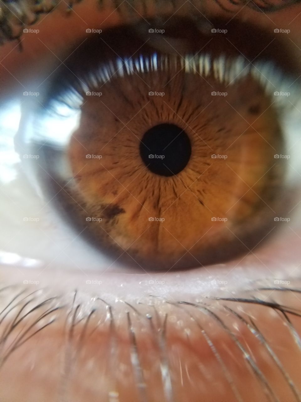 Macro shot of an eye