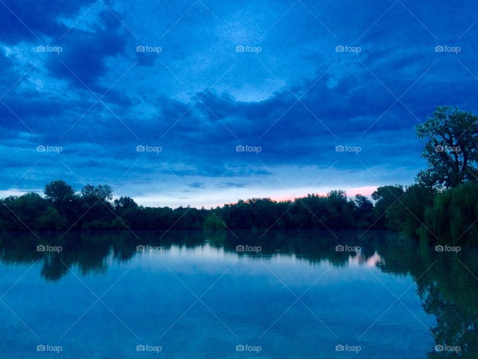 Tress reflected on lake