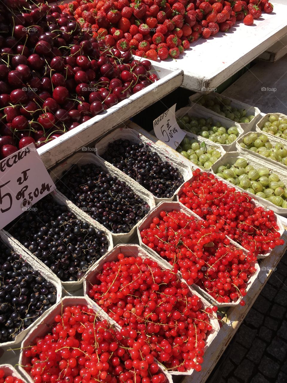 Berries of all colors