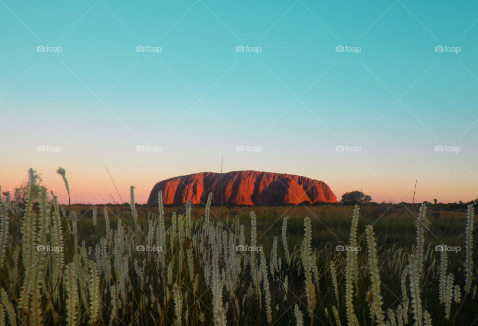 Australian mountain, landscape