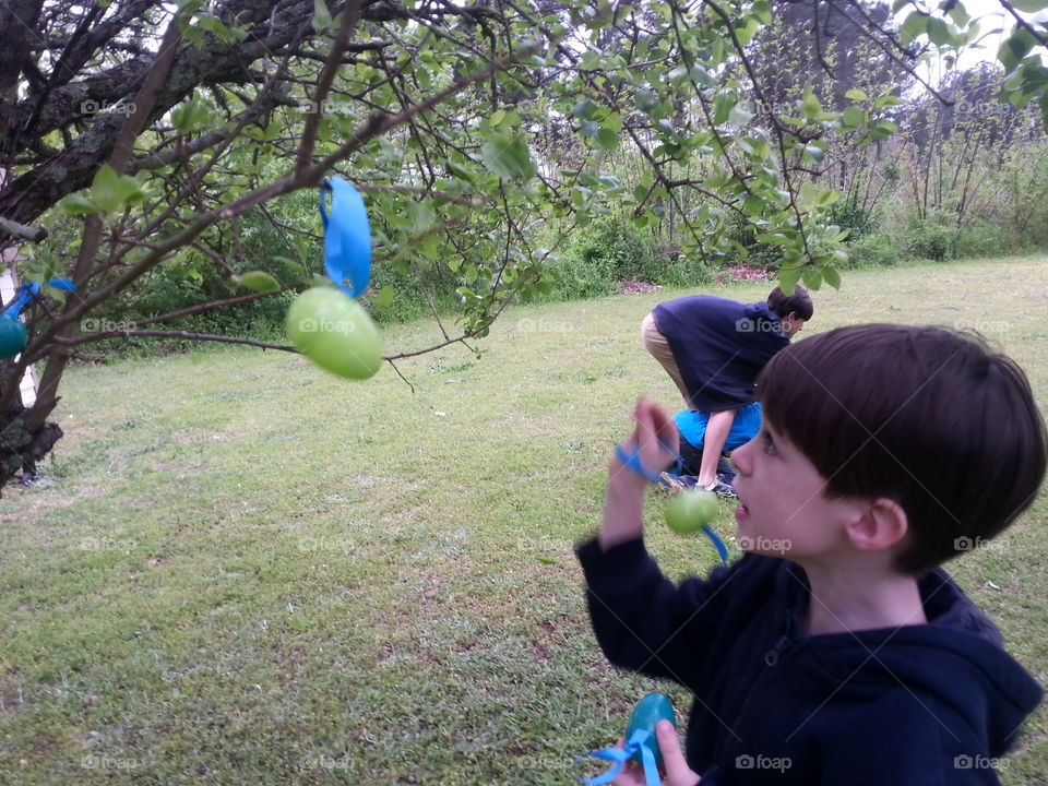 Young boy, putting colored Easter egg on his grandma and grandpa’s tree in the springtime. 