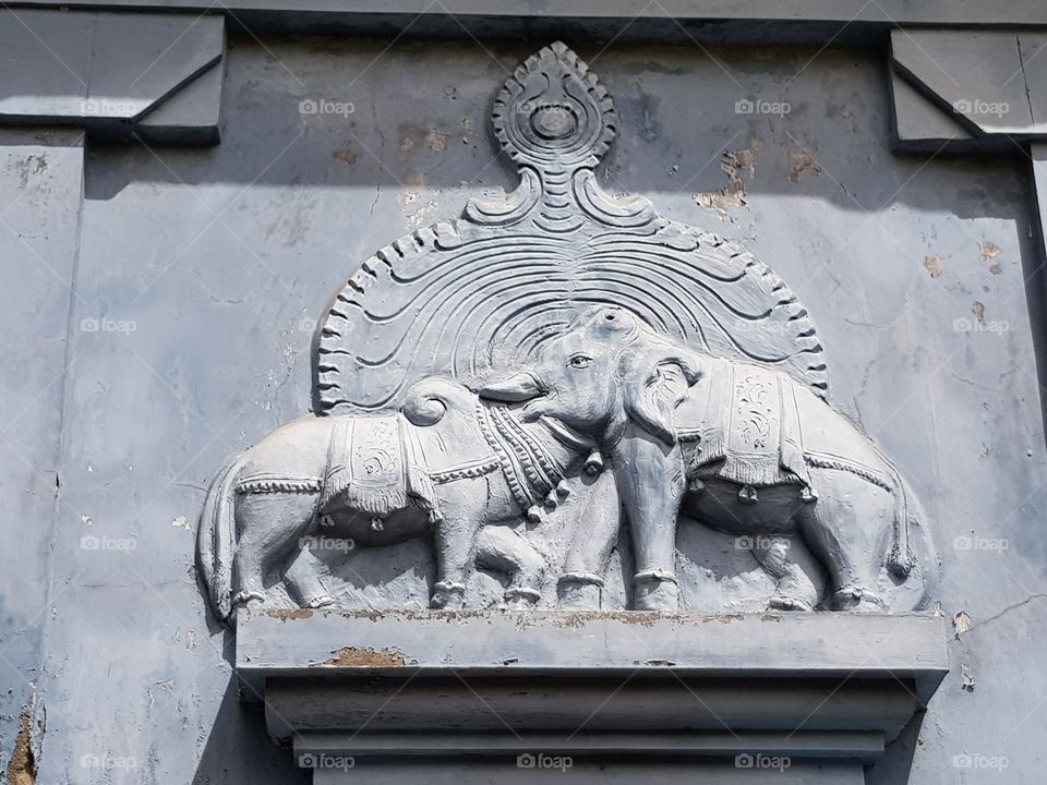 Bull and elephant share the heads