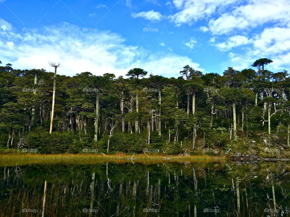 Hiking in southern Chile