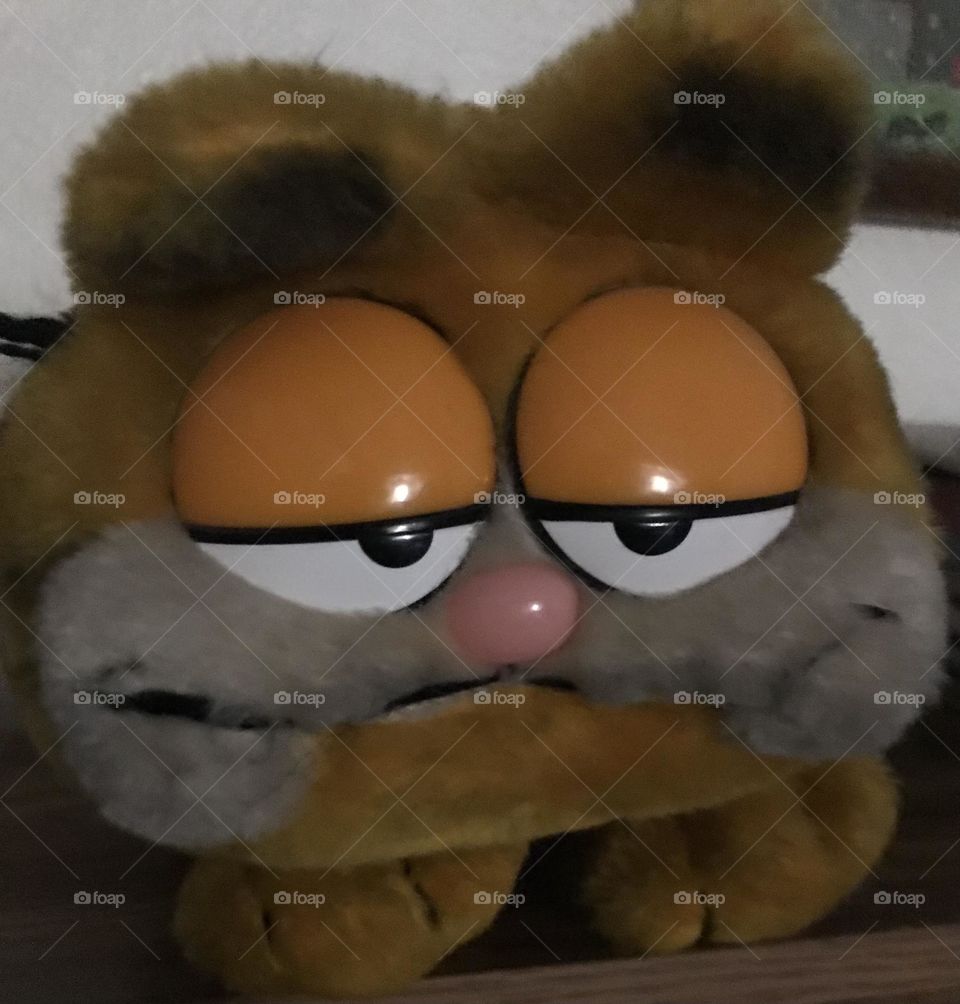 A stuffed Garfield.