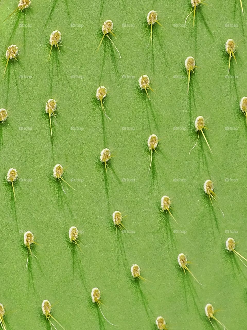 The little big world