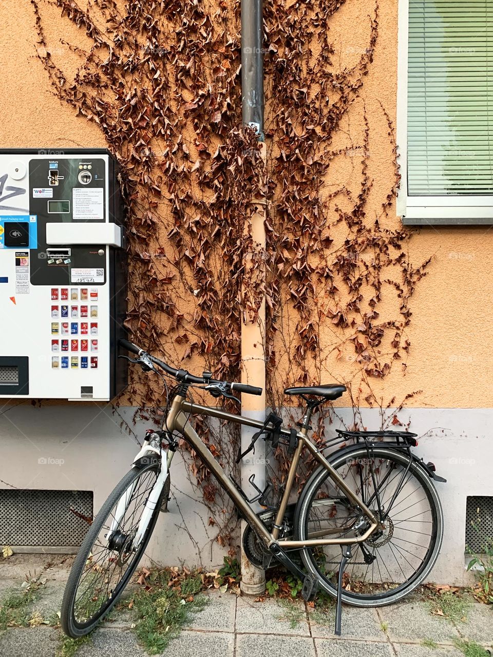 Bicycle standing in the park 
