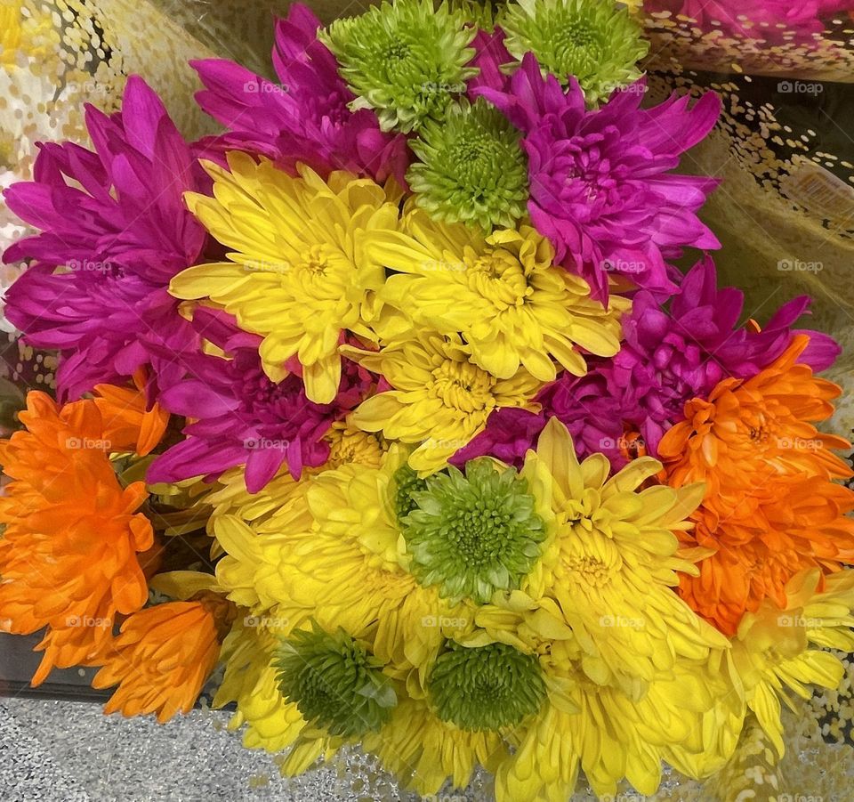 A vibrant bouquet of mums bursts with color, showcasing an array of green, yellow, orange, and pink blooms. The soft, round petals create a cheerful and lively contrast, bringing a fresh, energetic feel to the composition.
