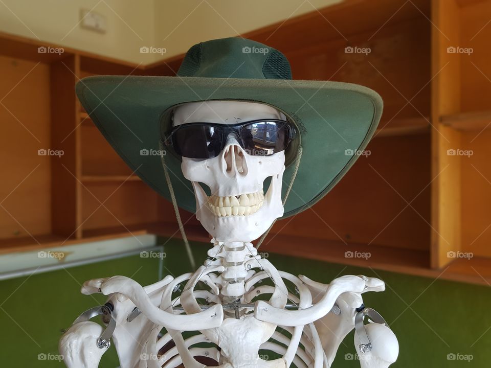 hat and sunglasses skeleton