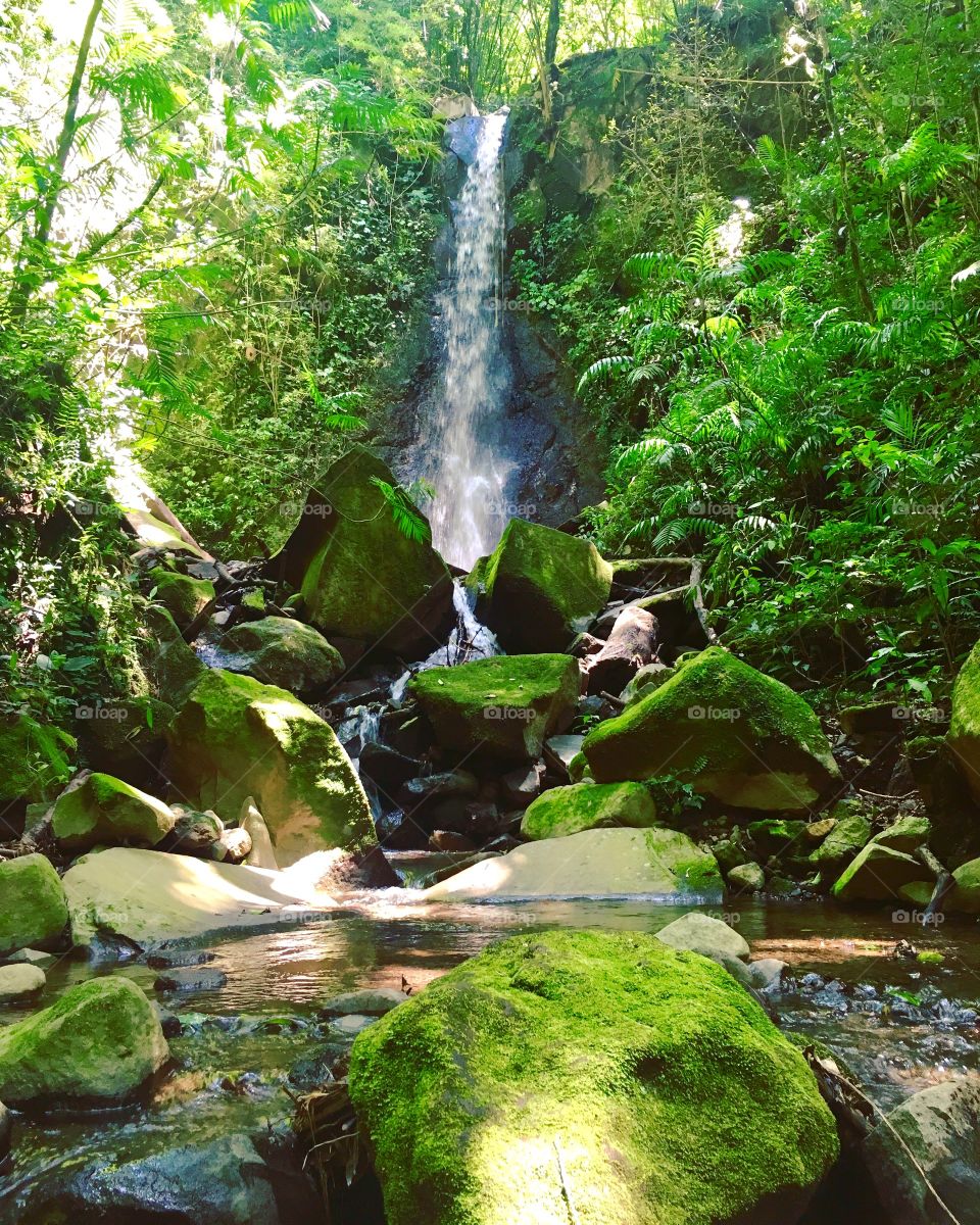 Bosque del Niño Waterfall, Grecia, Costa Rica 