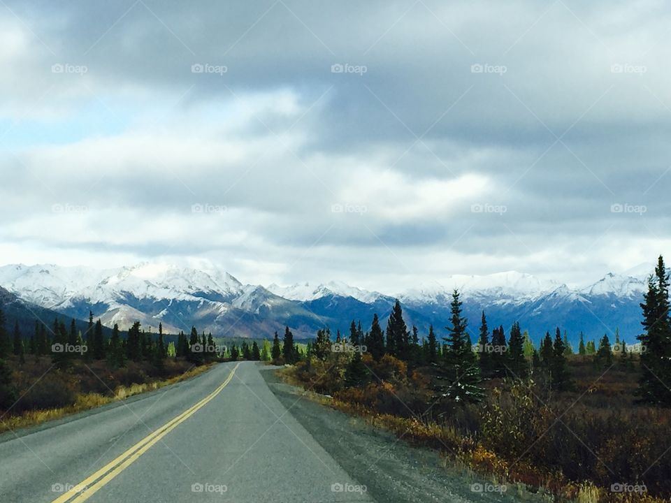 The perfect drive on Denali Highway
