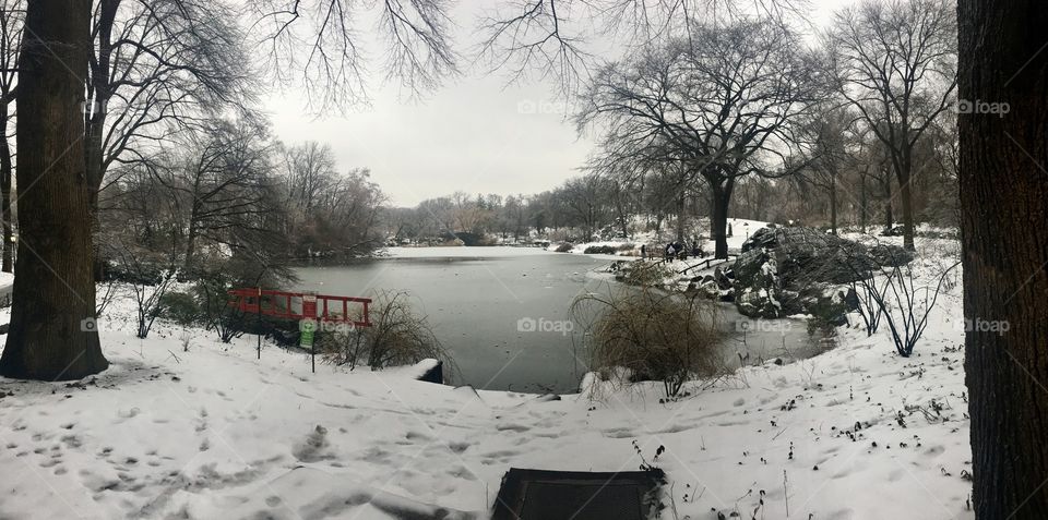 Sunday Stroll 
Central Park, New York
