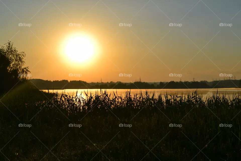dawn