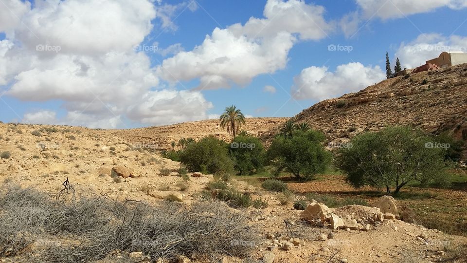 valley in desert
