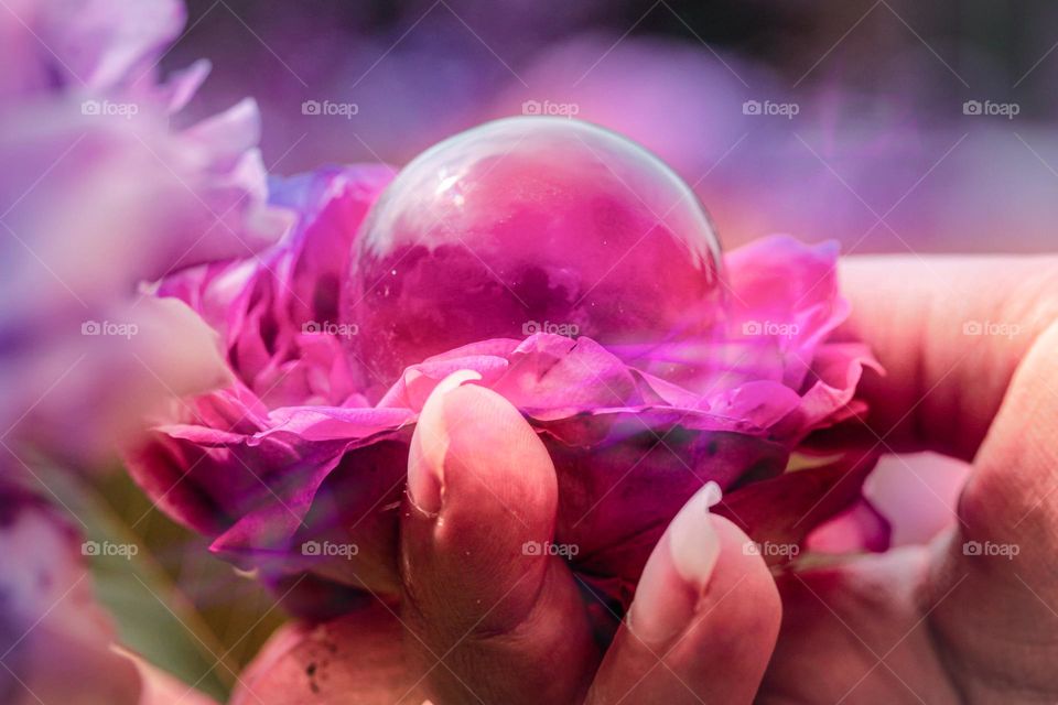 A crystal ball in a rose flower