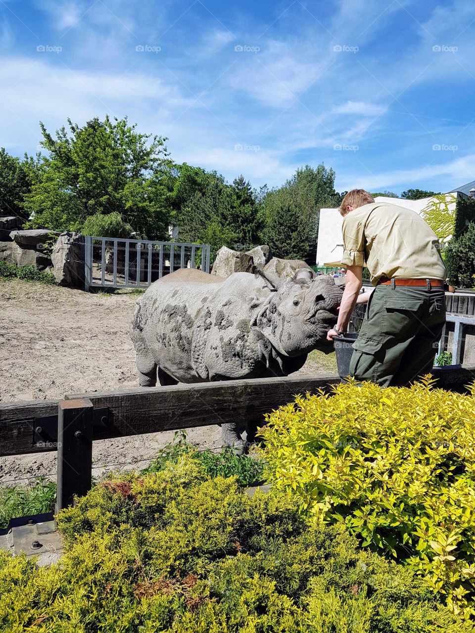 Outdoors, Summer, Grass, Nature, Agriculture