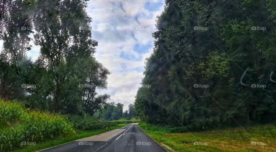 Road leading to a trip in the forest