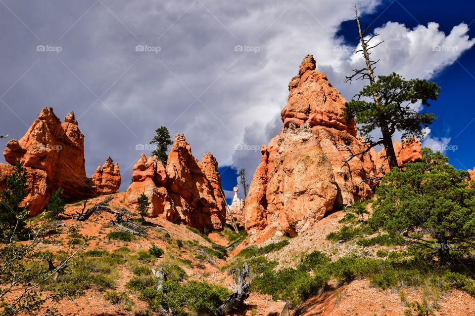 Bryce Canyon Pinnacles  