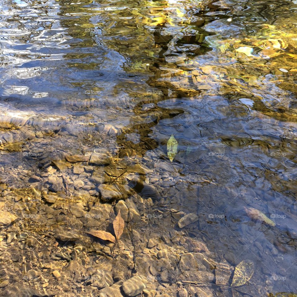 Leaves and rocks in the stream