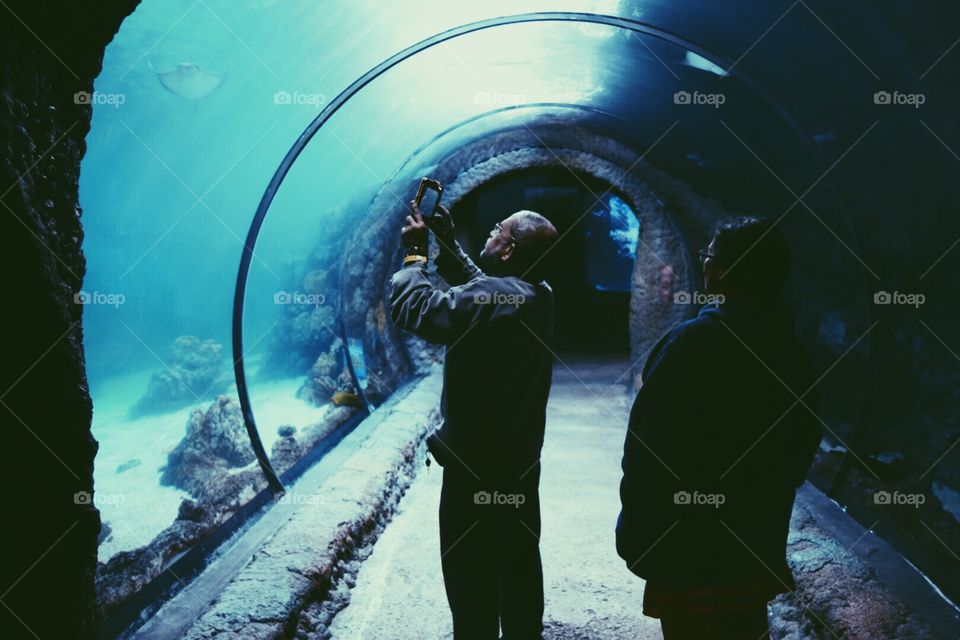 Tunnel under water