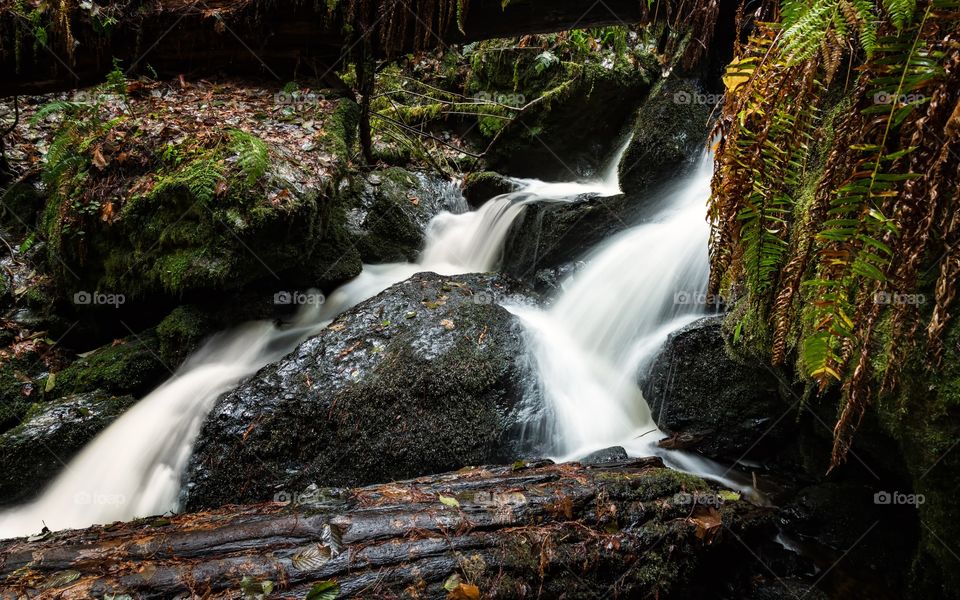 Stream flowing through rocks