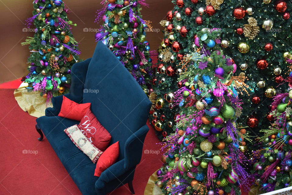 Christmas, Winter, Decoration, Christmas Tree, Tree