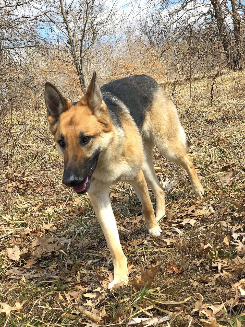 Early spring adventures