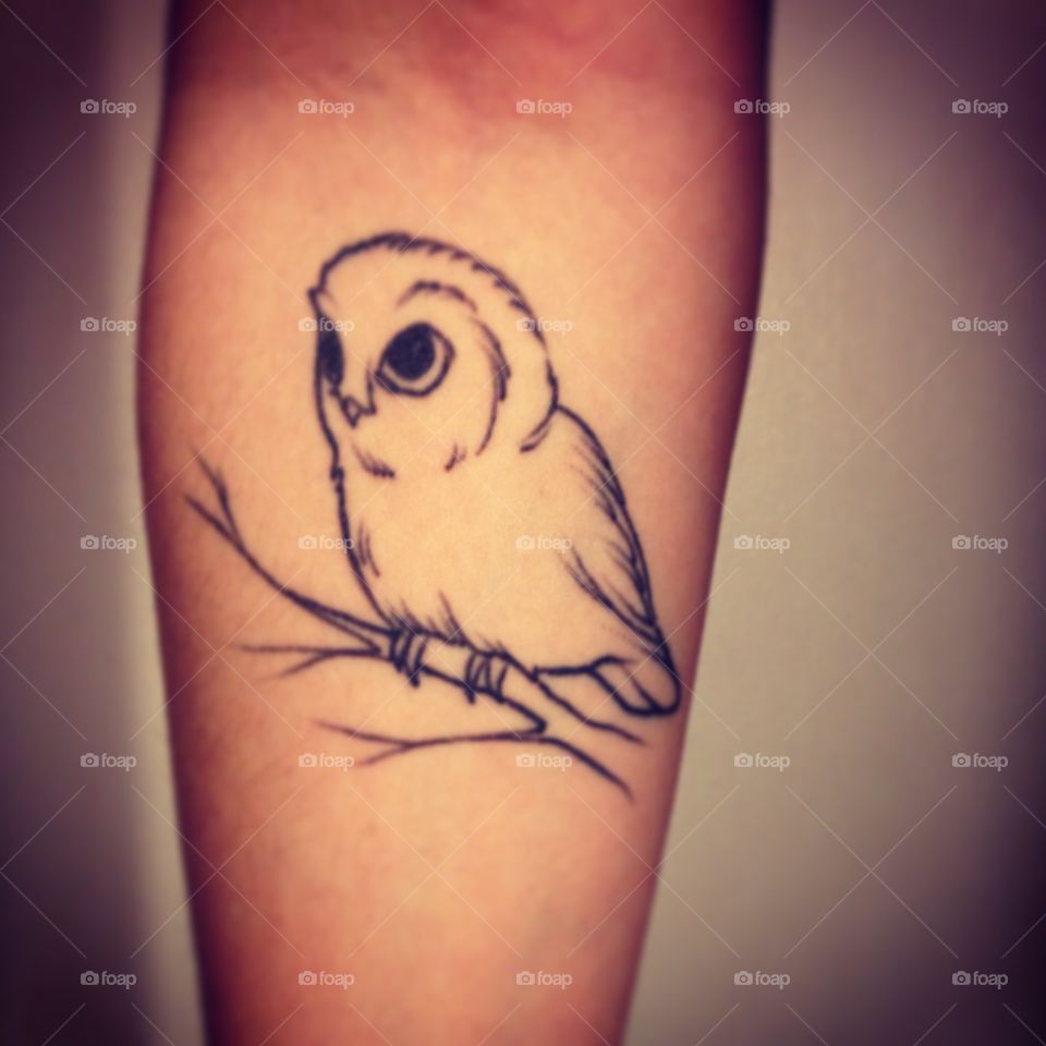 My baby owl tattoo on my right arm
