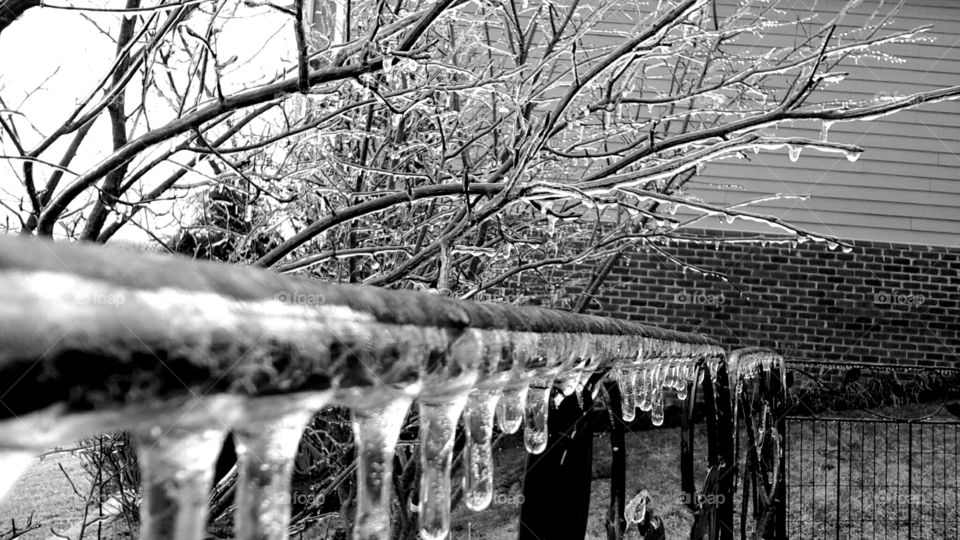 Icy Day. shot after ice storm