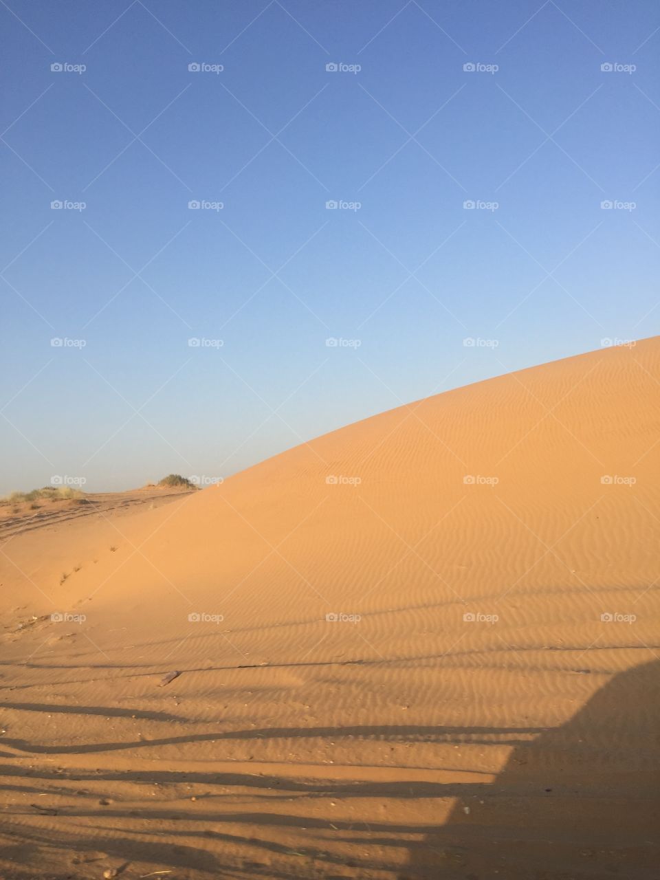 Desert, Dune, Sand, Sunset, No Person