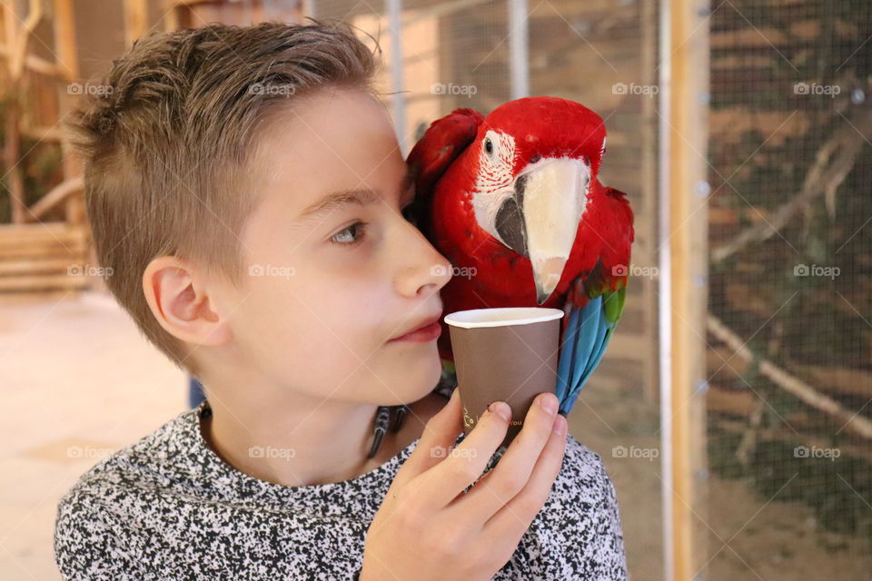 A boy feeding a parrot.