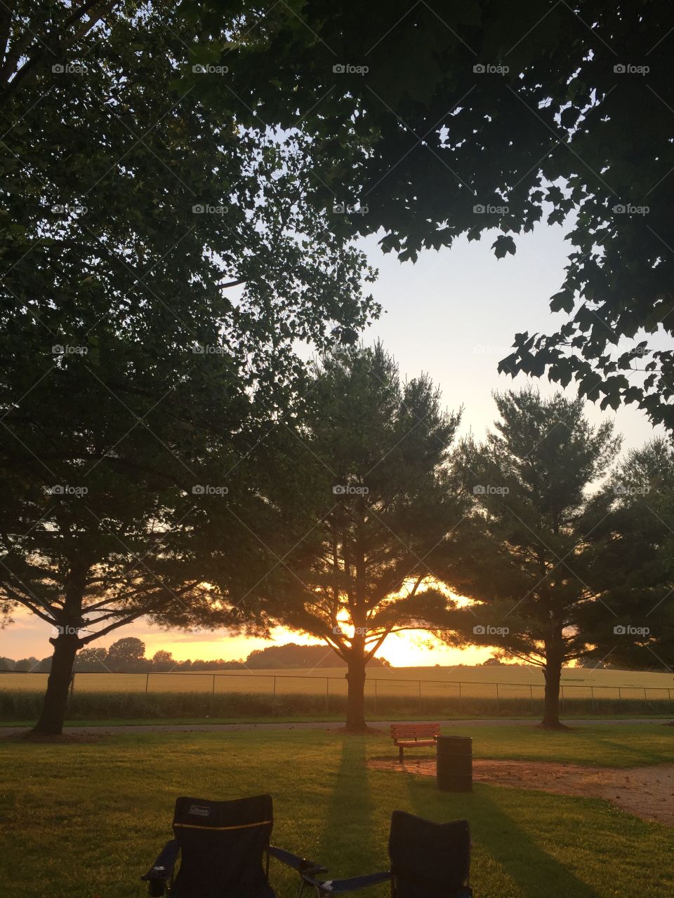 Tree, Dawn, No Person, Landscape, Sunset