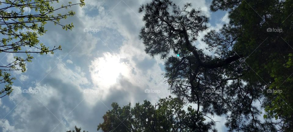 Spring Time ⏲! Sunshine 🌞 ☀️!!