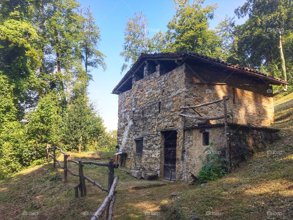 Old rustic in the forest 