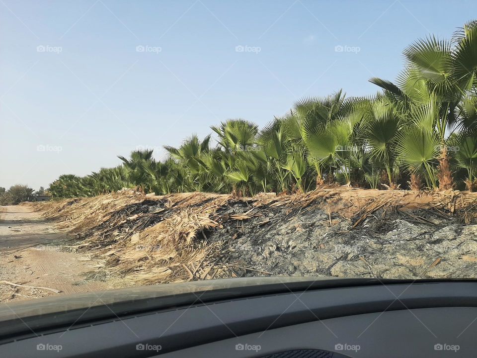 Please make me happy, I am poor, I need your help with support